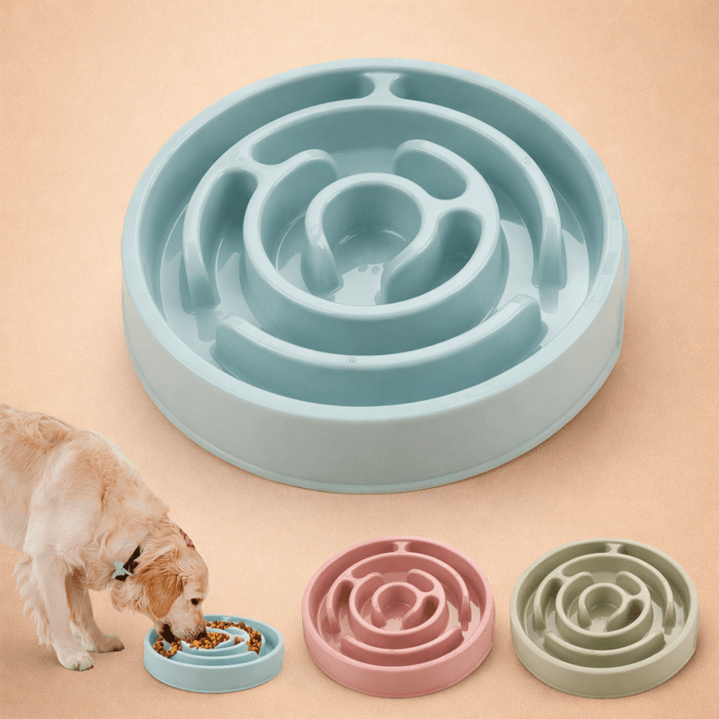 Anti - Gulp Slow Feeder Dog Bowl - Paw Société