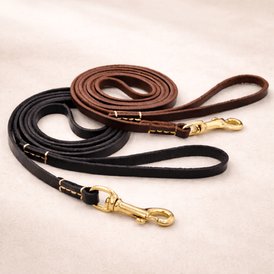 Heritage Leather Leash - Paw Société